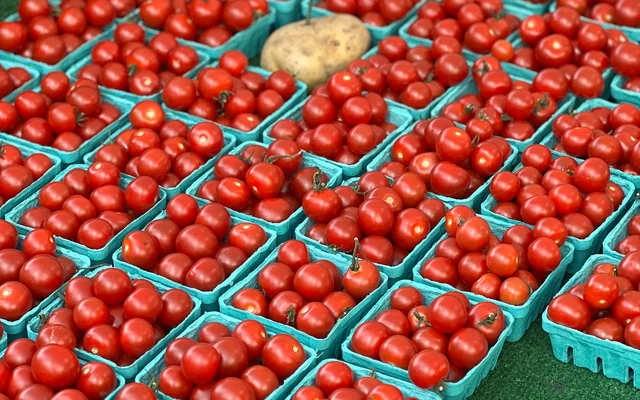 Caixas de tomates expostas em uma feira
